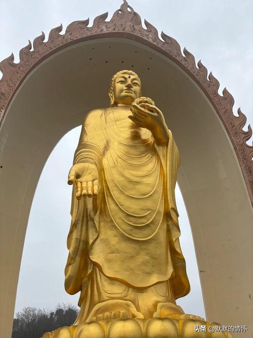 大佛最新爆料消息今天,揭秘娱乐圈惊人内幕！